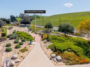 Aerial Photos Surrounding